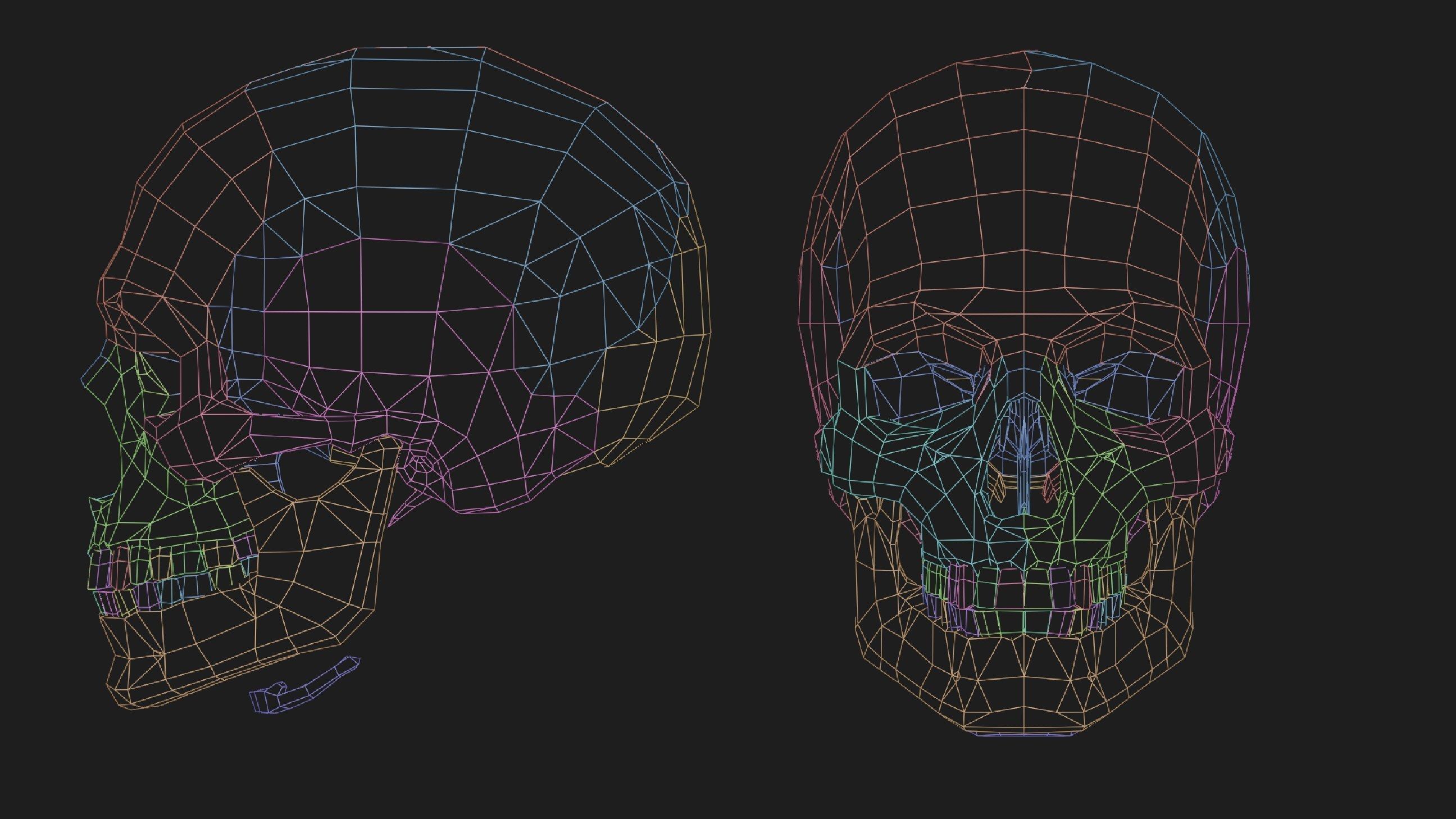 Hand Painted Anatomy model Low-poly 3D model_12