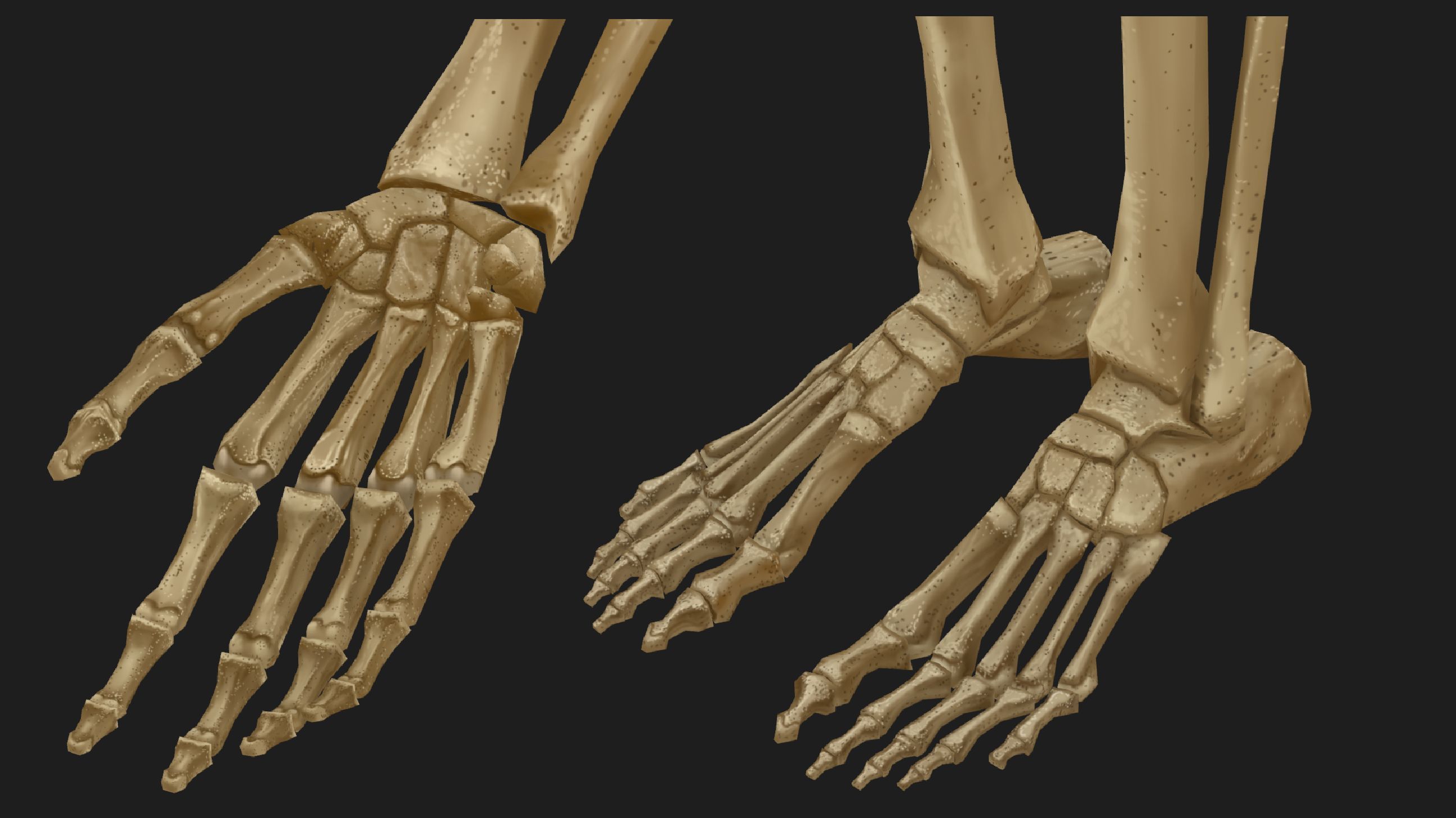 Hand Painted Anatomy model Low-poly 3D model_35