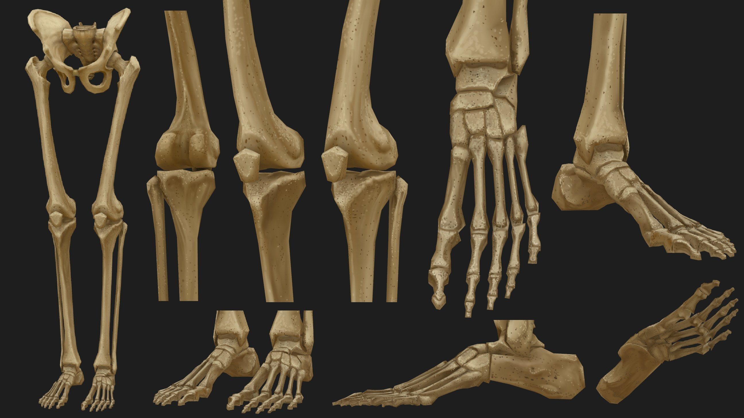Hand Painted Anatomy model Low-poly 3D model_9
