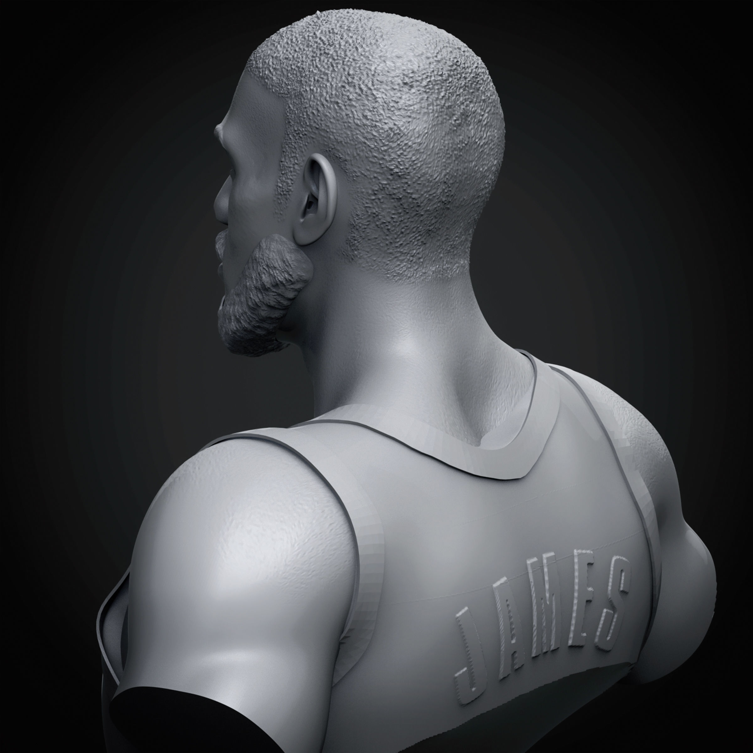LeBron James 3D Printable 3 3D print model_20