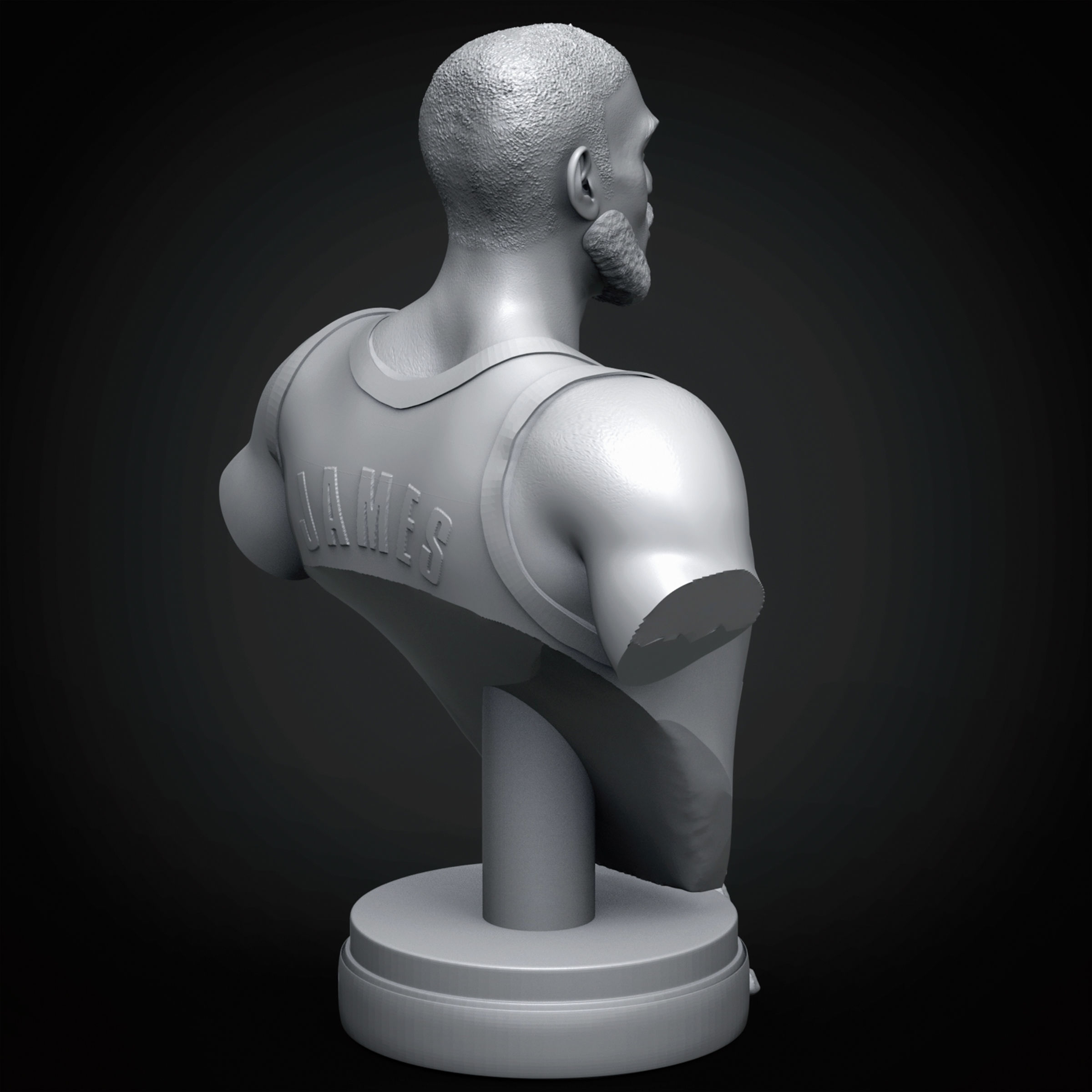 LeBron James 3D Printable 3 3D print model_13