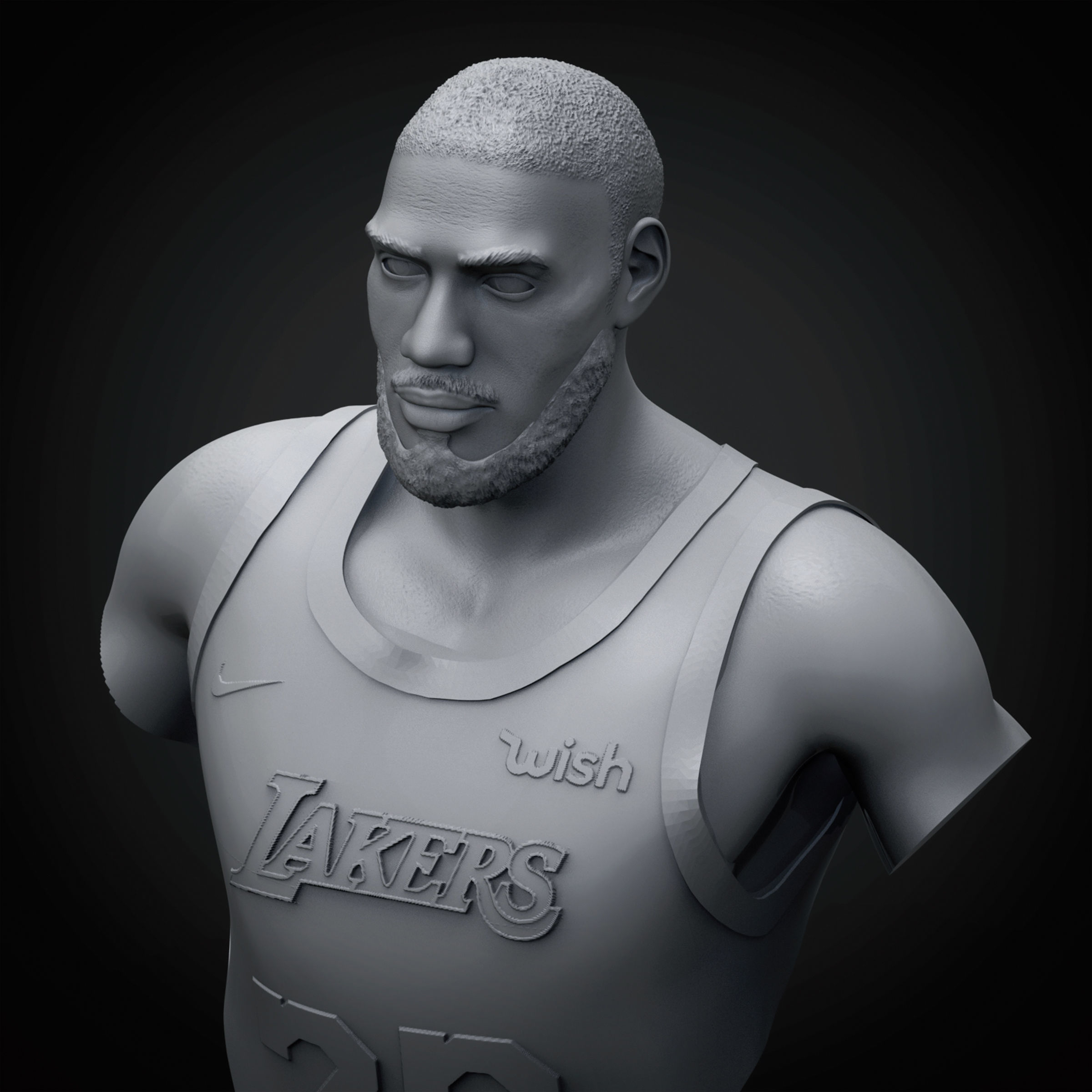 LeBron James 3D Printable 3 3D print model_17