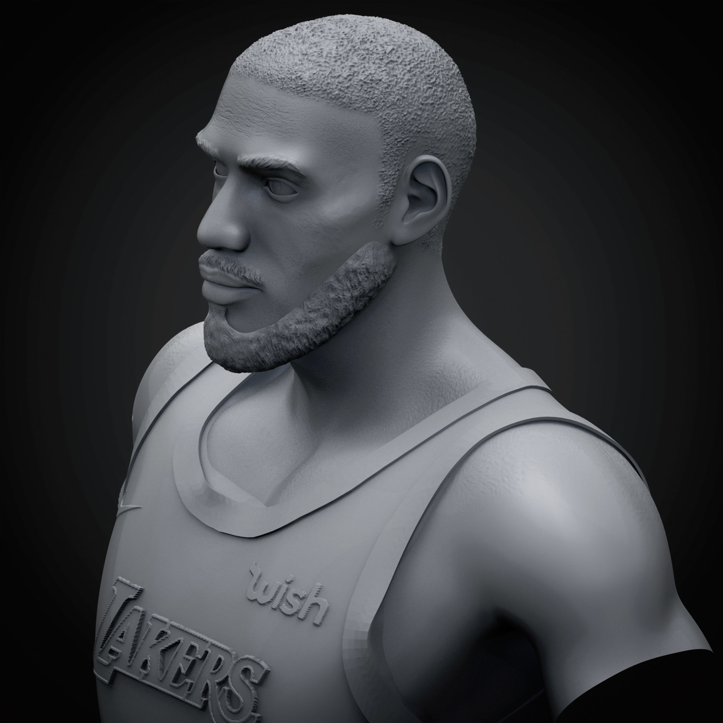 LeBron James 3D Printable 3 3D print model_19