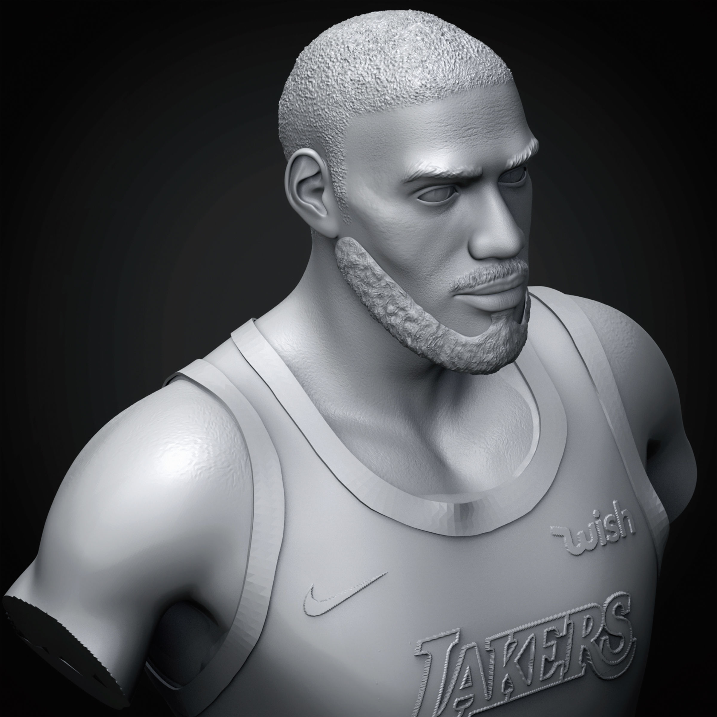 LeBron James 3D Printable 3 3D print model_18