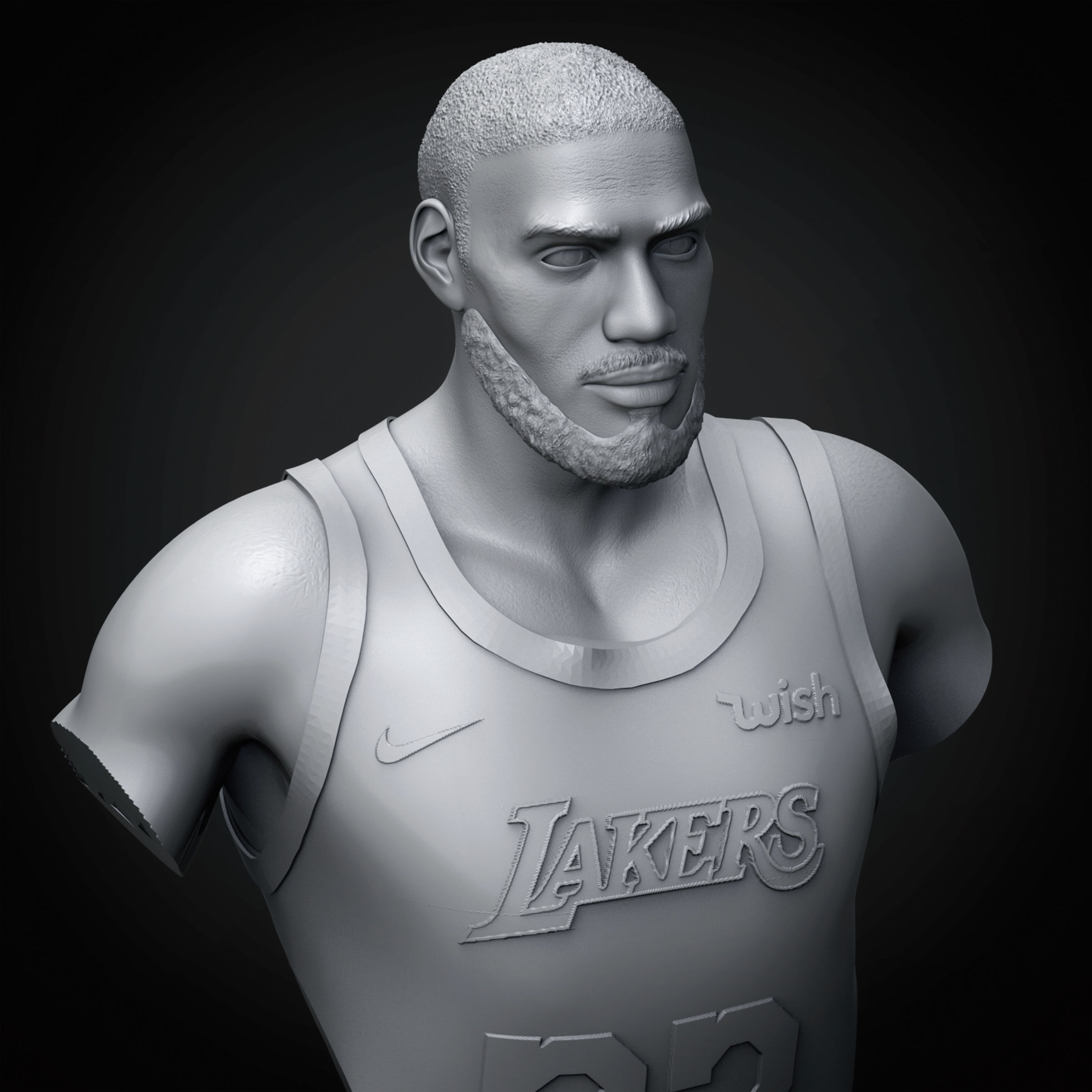 LeBron James 3D Printable 3 3D print model_16