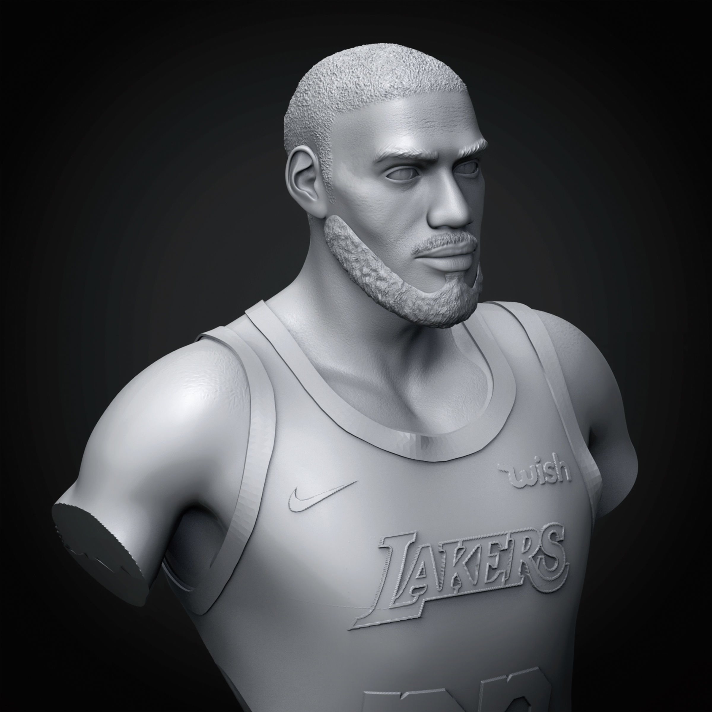 LeBron James 3D Printable 3 3D print model_15