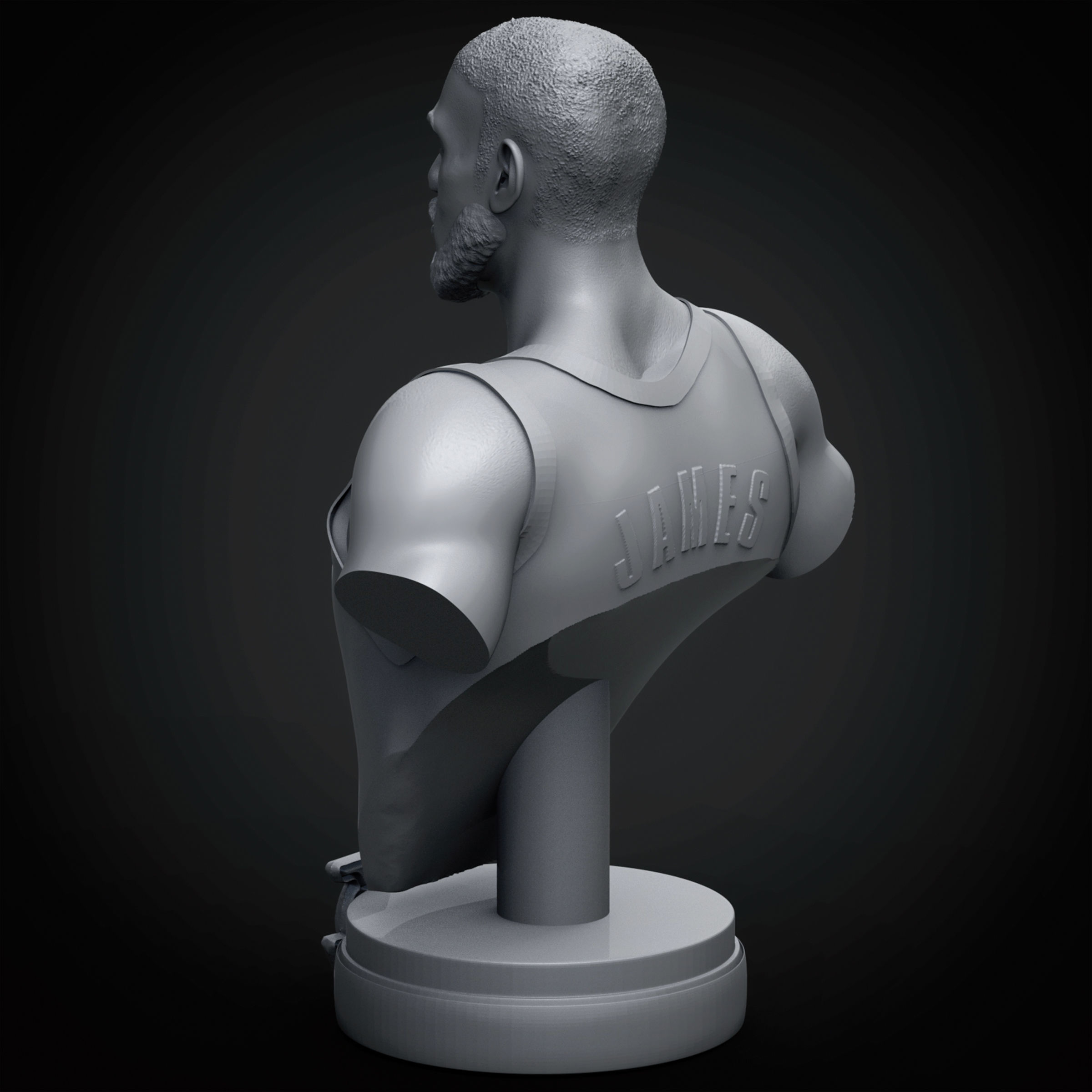 LeBron James 3D Printable 3 3D print model_12