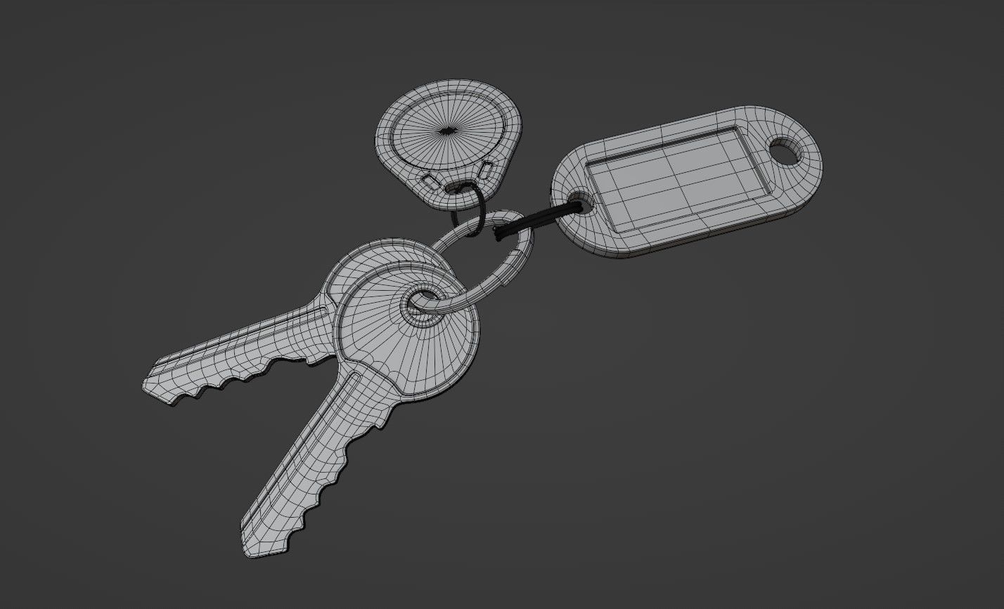 Keys and Tags 3D model_6