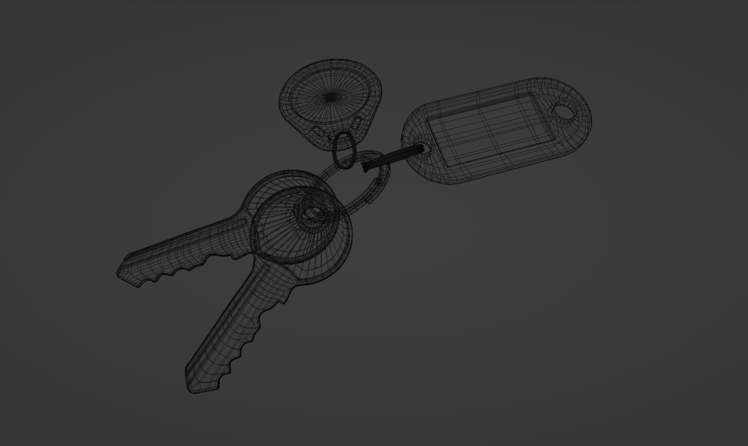 Keys and Tags 3D model_7