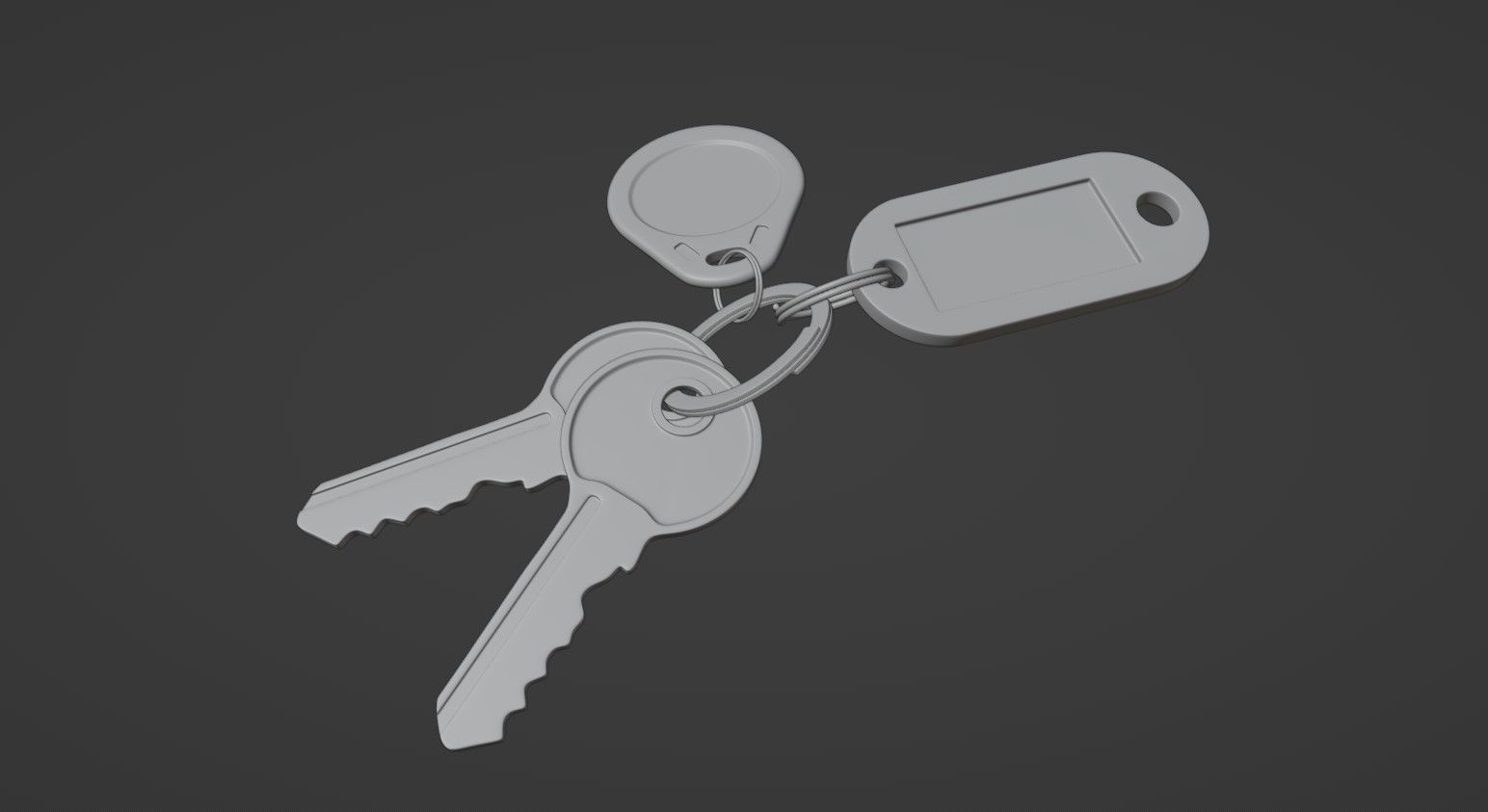 Keys and Tags 3D model_5