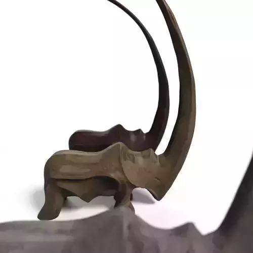 Rhino with unique horn