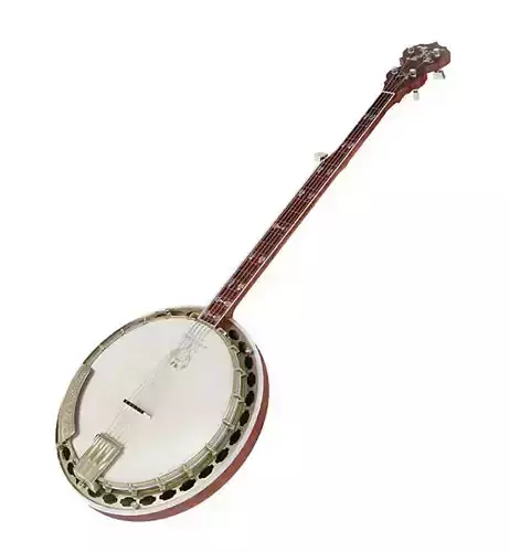 Banjo Guitar