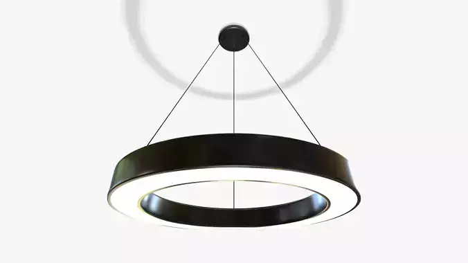 Hollow Circular Pendant Light