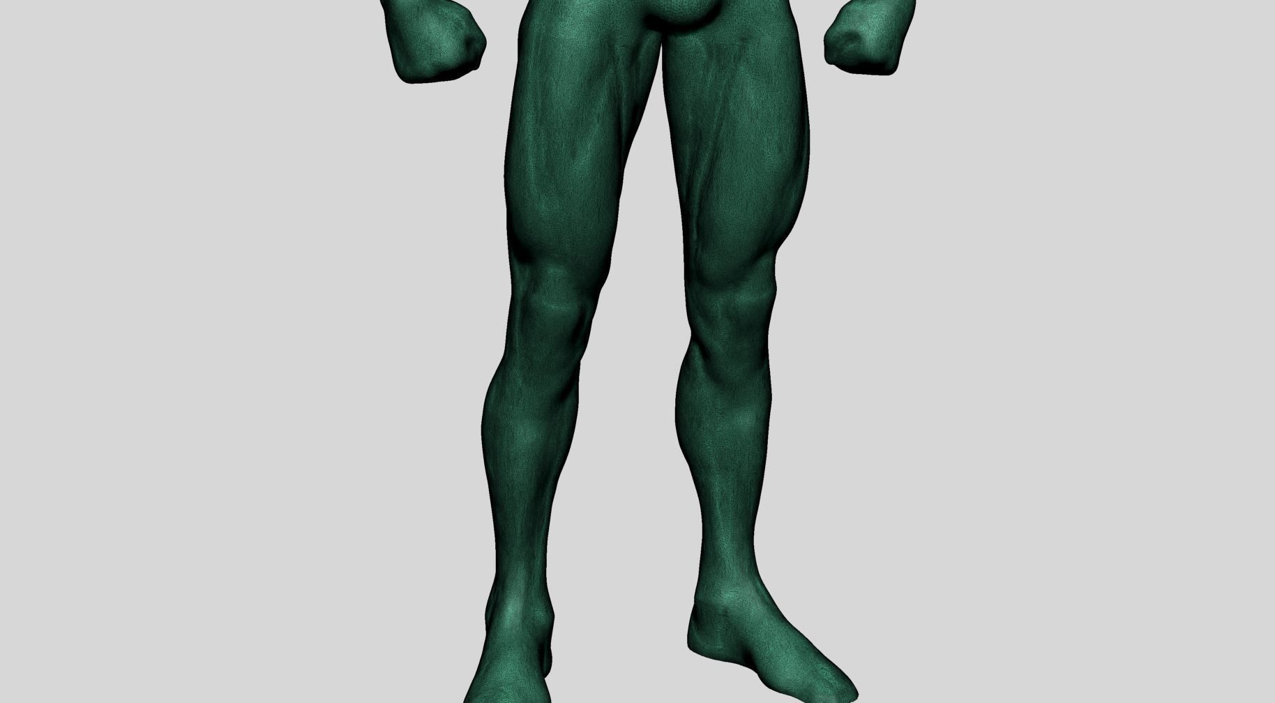 Base Creature Anatomy 3D model_19