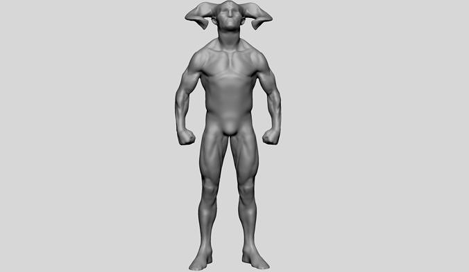 Base Creature Anatomy 3D model