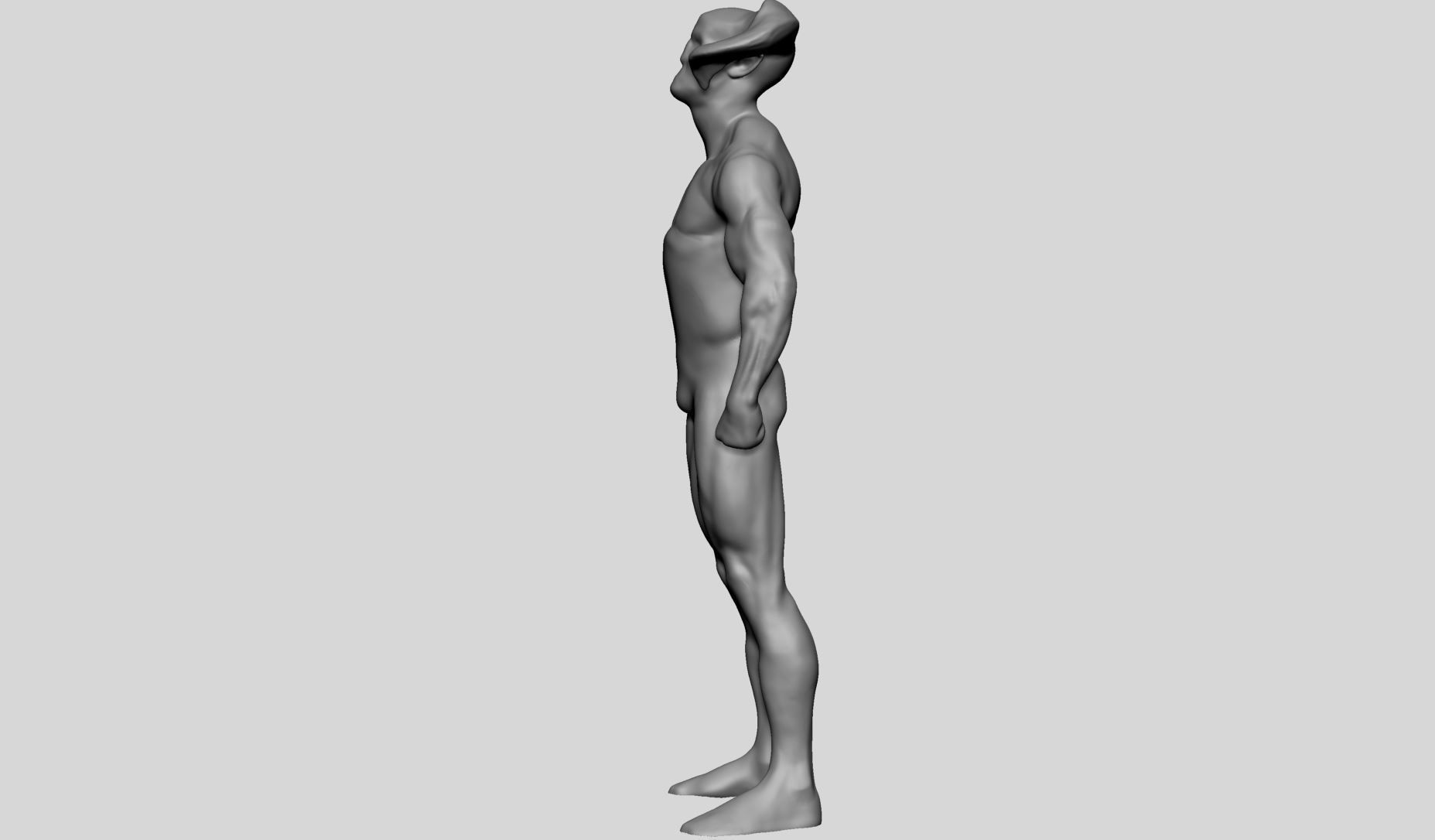 Base Creature Anatomy 3D model_7