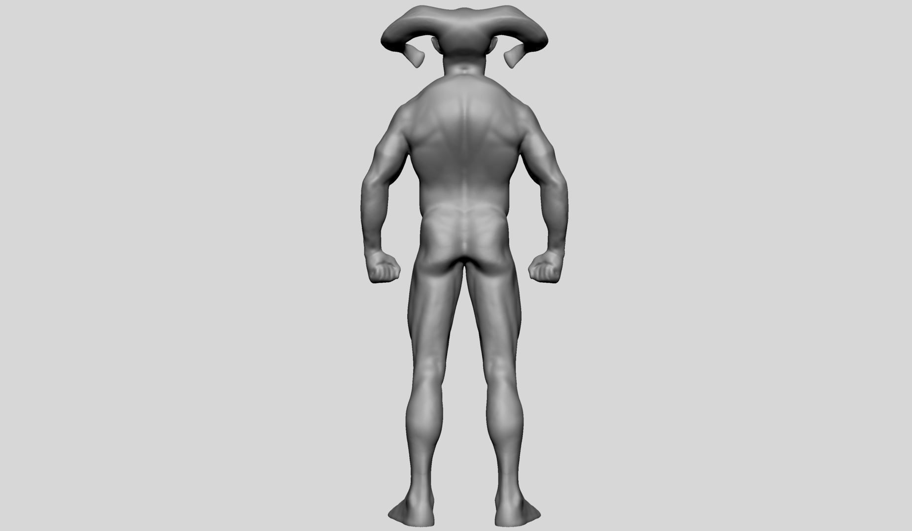 Base Creature Anatomy 3D model_4