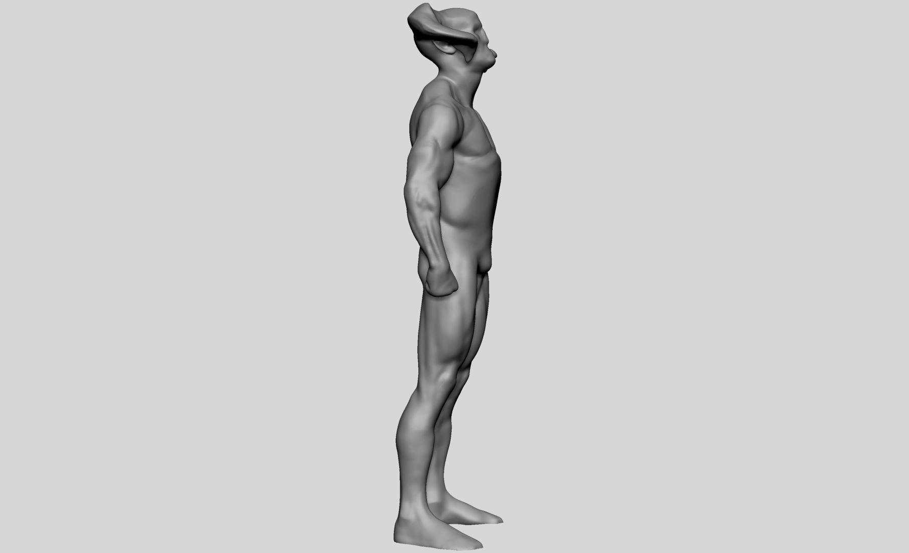 Base Creature Anatomy 3D model_2