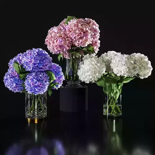 Hydrangea set 002 3D model