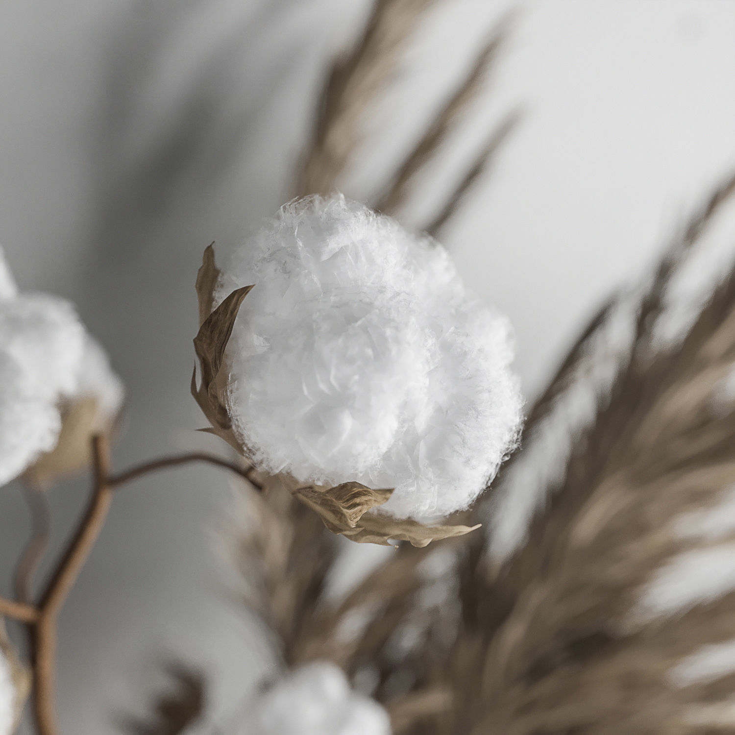 Decoration Set 22 Cotton and Vase 3D model_2