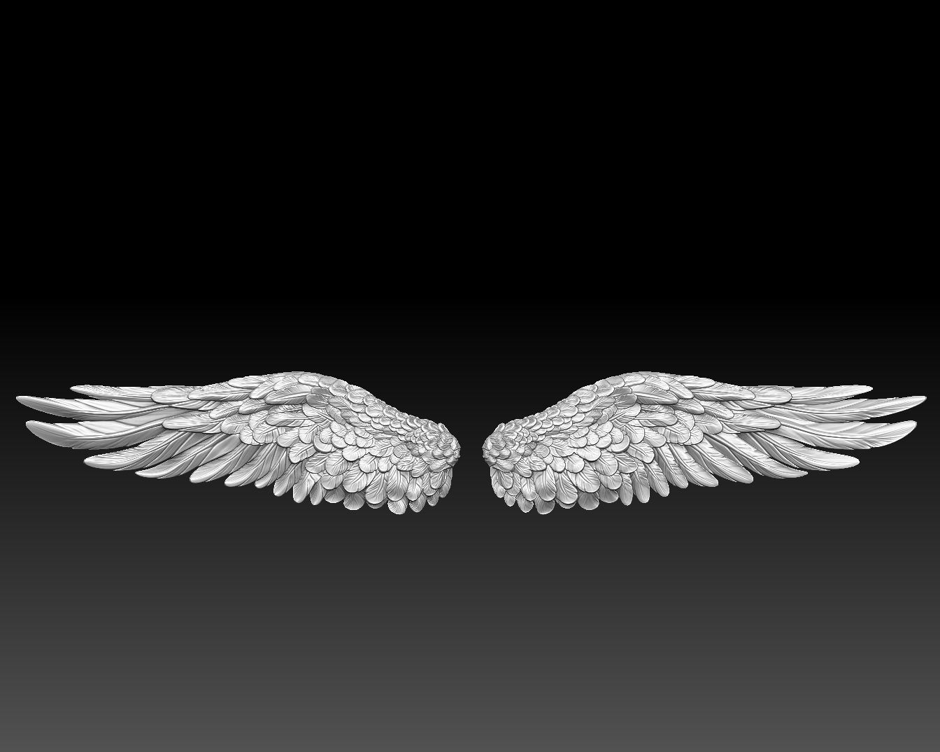 angel wings 3d model 2 3D print model_2
