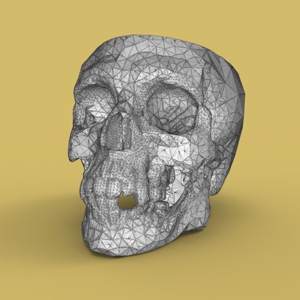  Low-poly skull for 3d print 3D print model_33