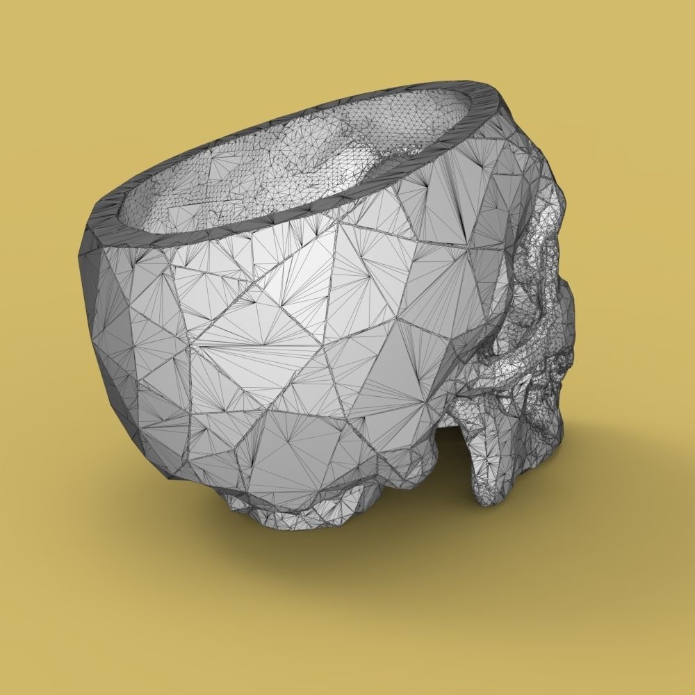  Low-poly skull for 3d print 3D print model_38