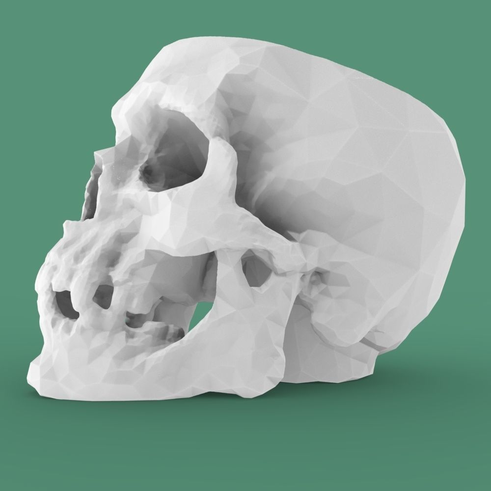  Low-poly skull for 3d print 3D print model_22