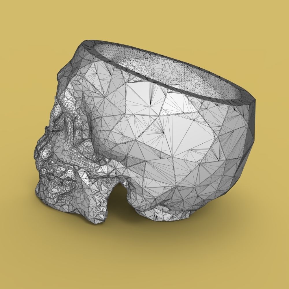  Low-poly skull for 3d print 3D print model_41