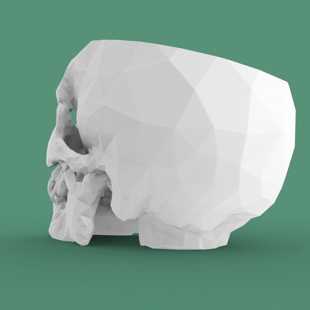  Low-poly skull for 3d print 3D print model_14