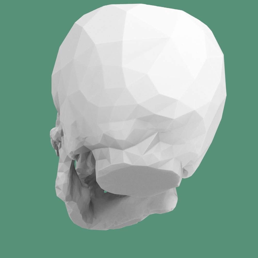  Low-poly skull for 3d print 3D print model_15
