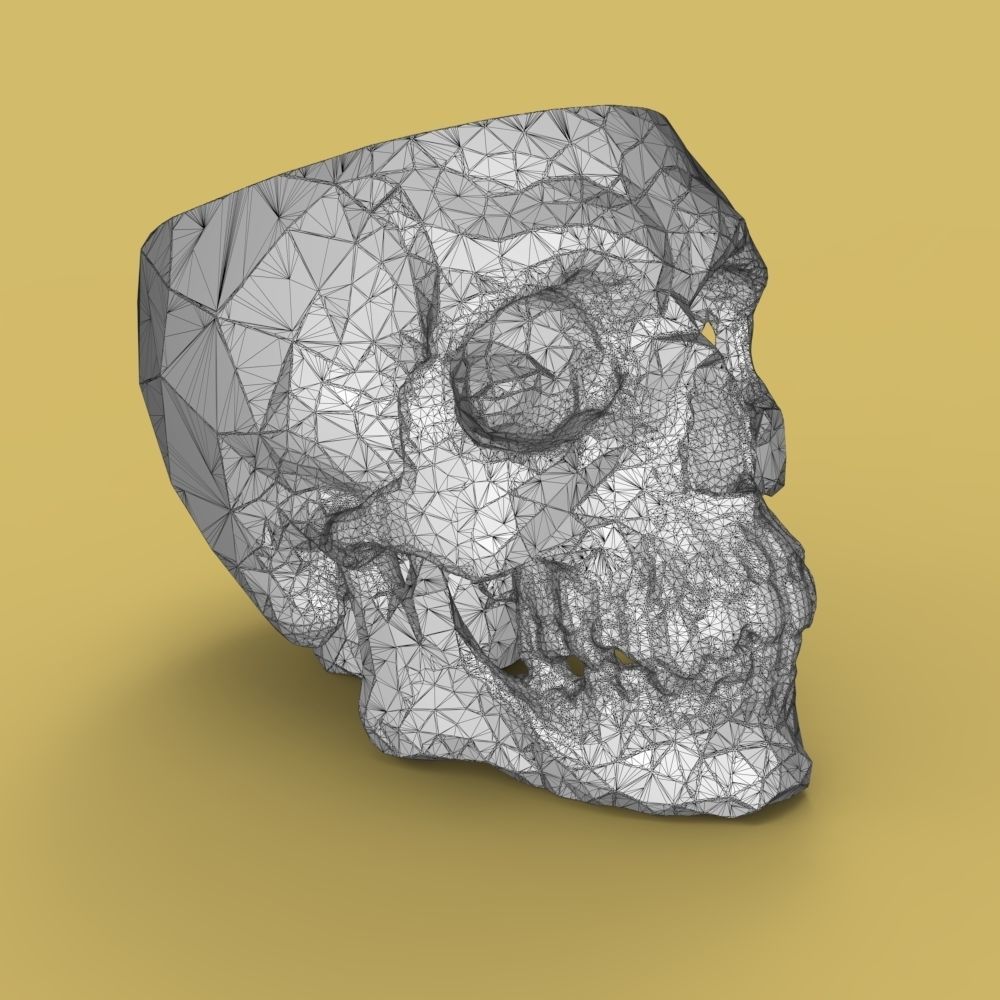  Low-poly skull for 3d print 3D print model_36