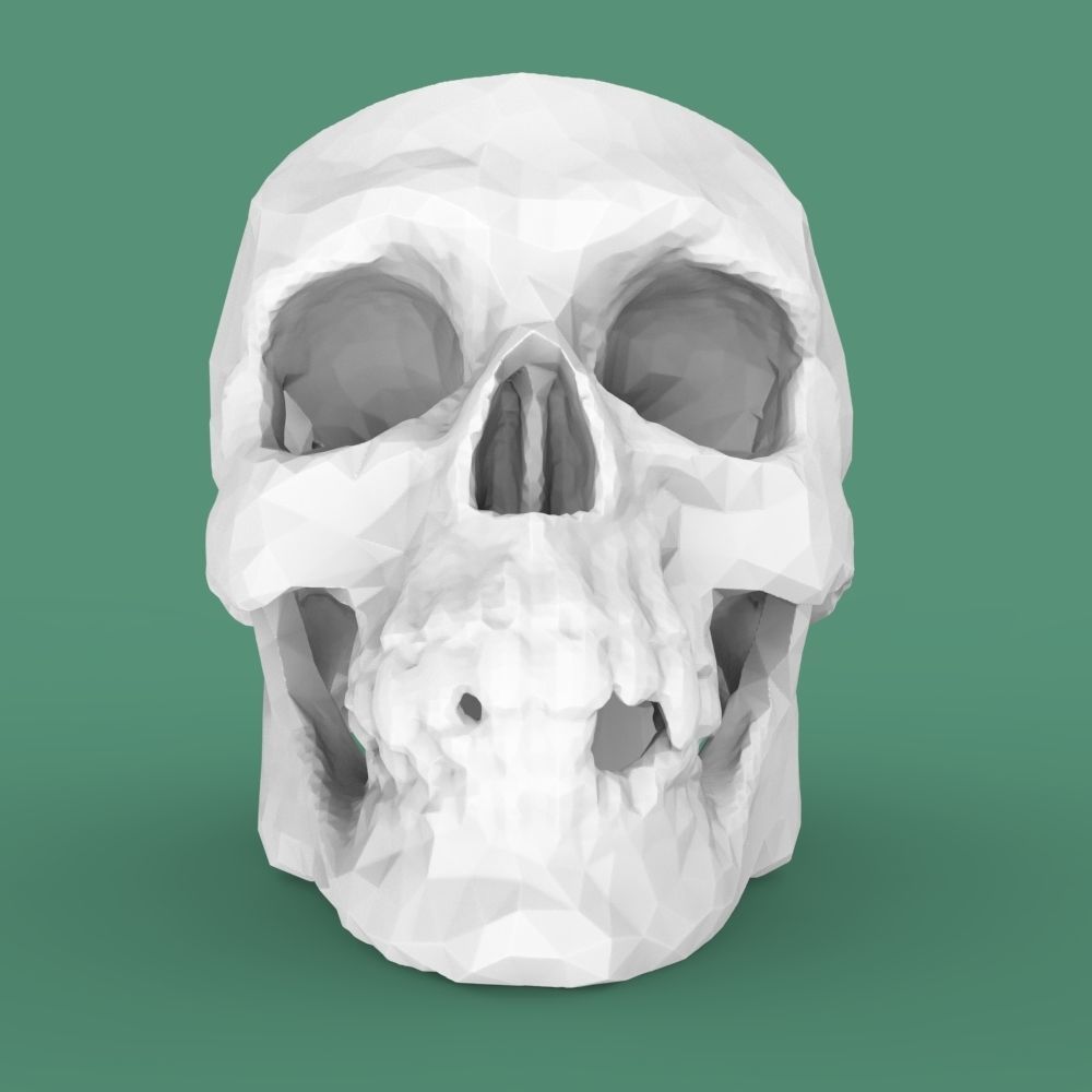  Low-poly skull for 3d print 3D print model_20
