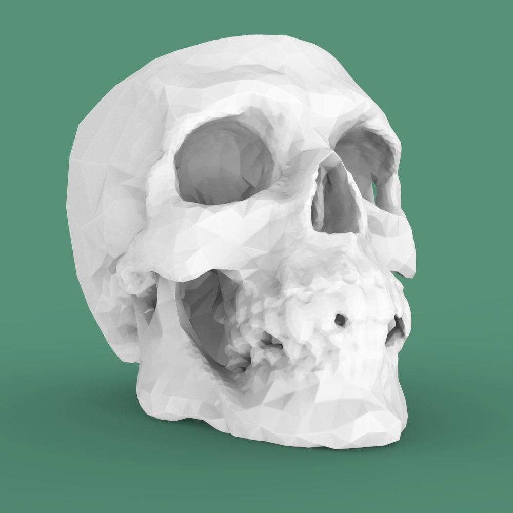  Low-poly skull for 3d print 3D print model_19