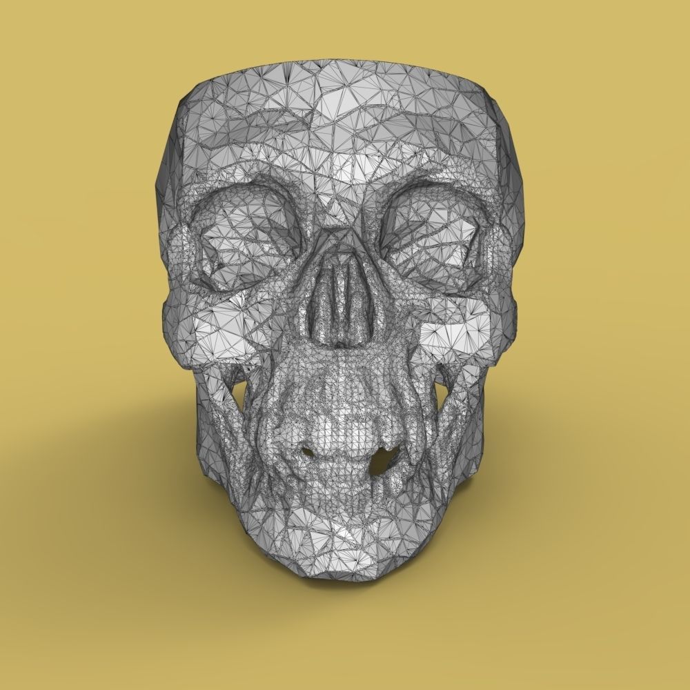  Low-poly skull for 3d print 3D print model_34