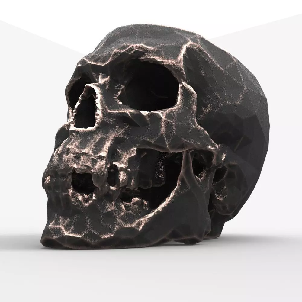  Low-poly skull for 3d print 3D print model_0