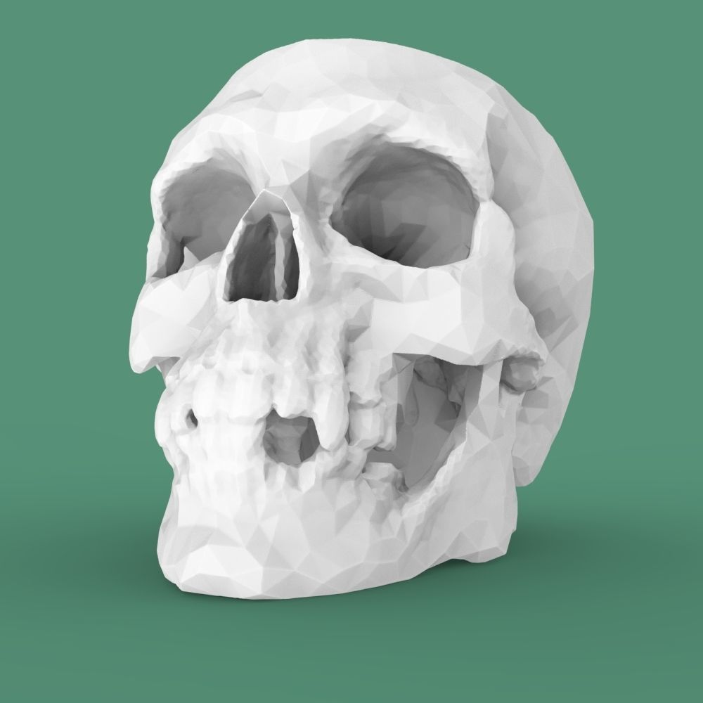  Low-poly skull for 3d print 3D print model_21