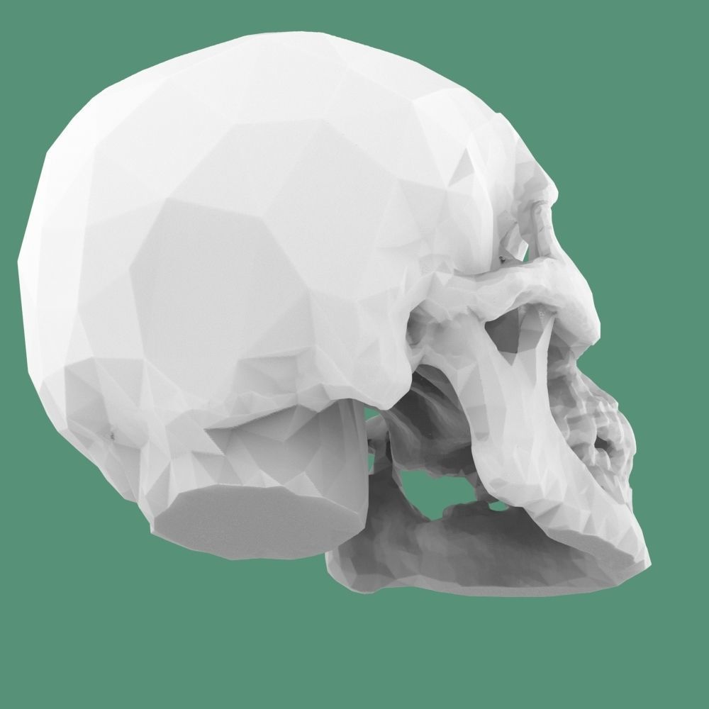  Low-poly skull for 3d print 3D print model_17