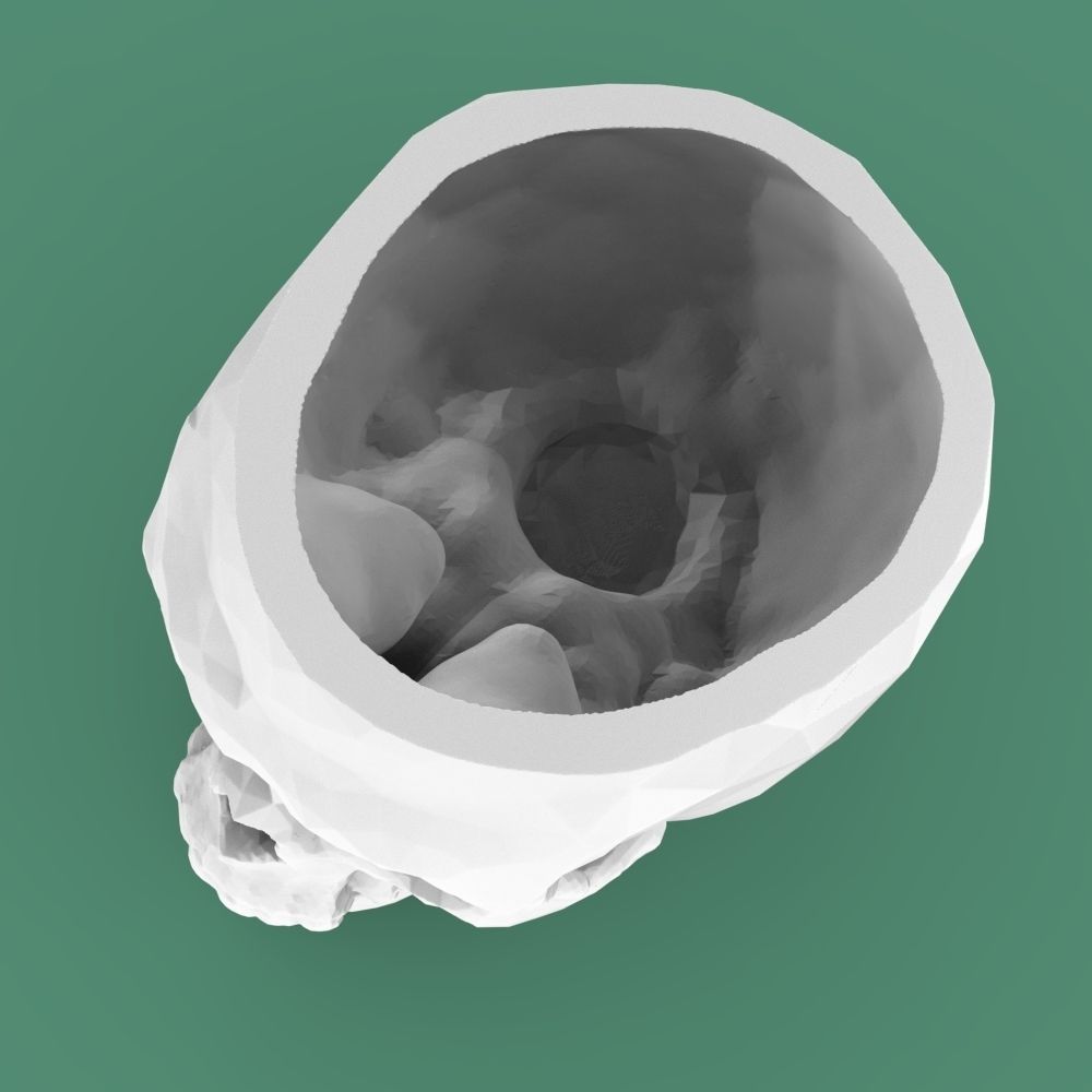  Low-poly skull for 3d print 3D print model_12
