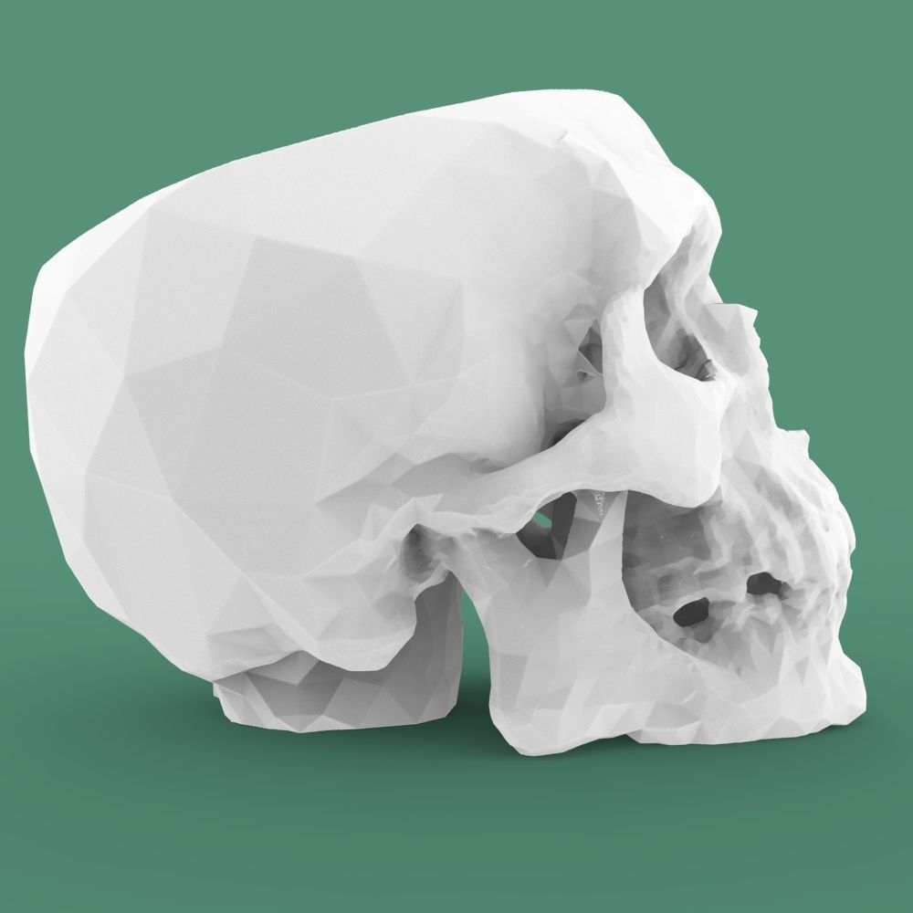  Low-poly skull for 3d print 3D print model_18