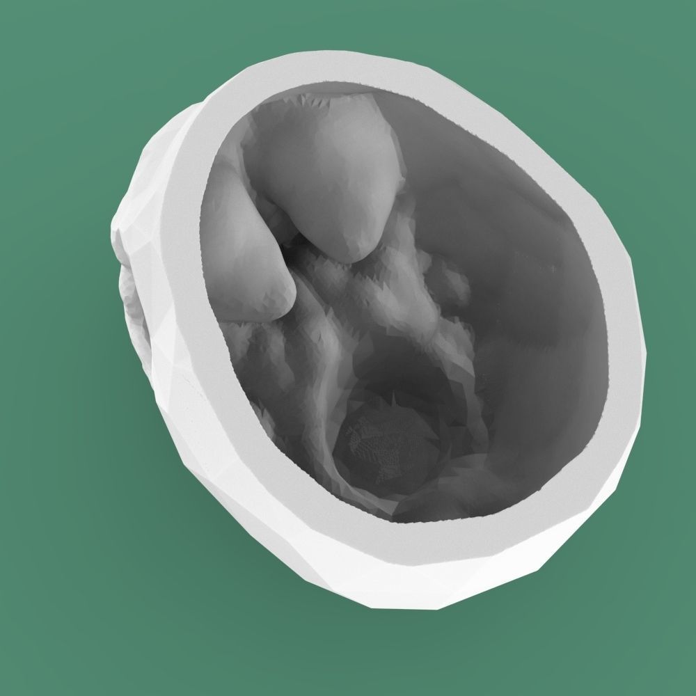  Low-poly skull for 3d print 3D print model_13