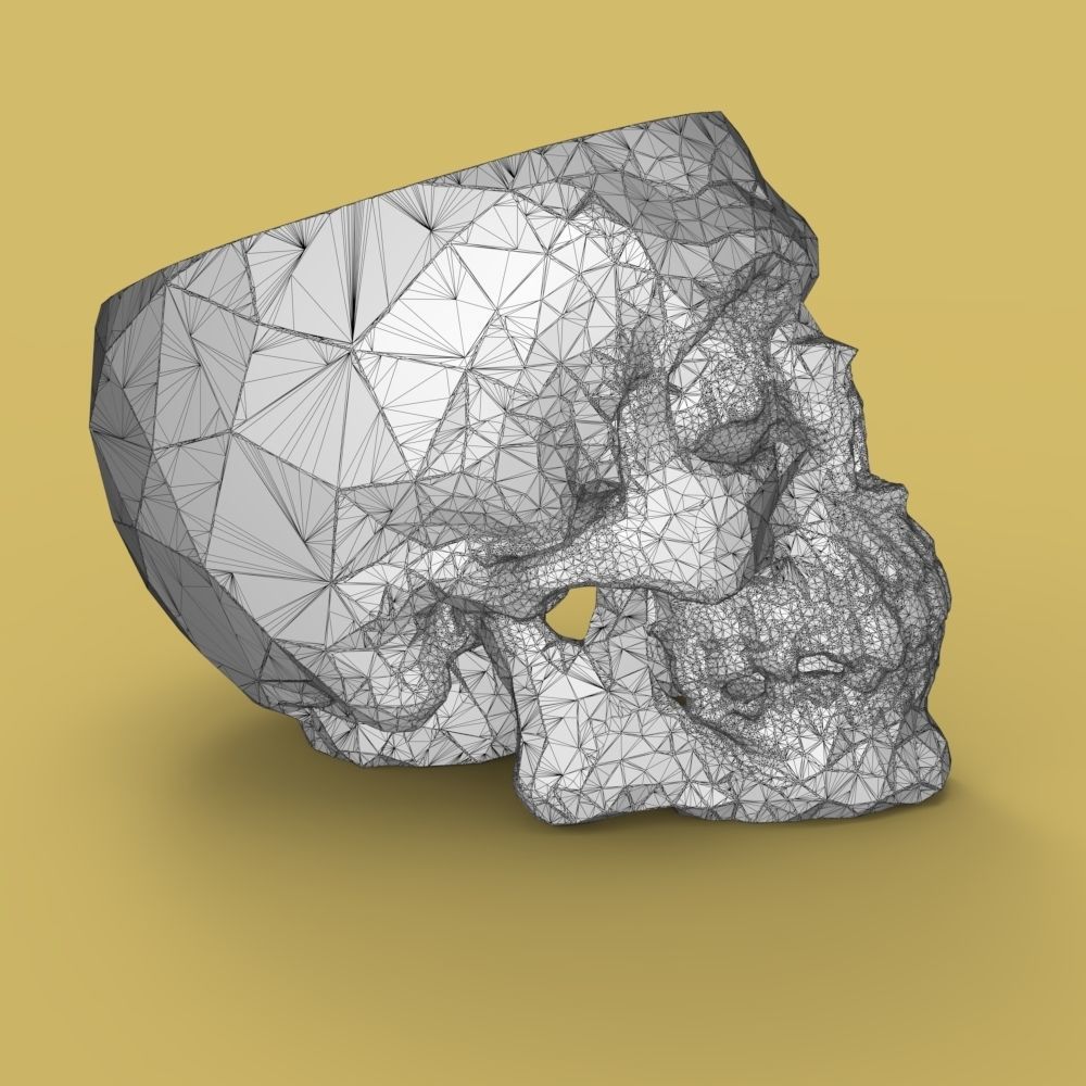  Low-poly skull for 3d print 3D print model_37