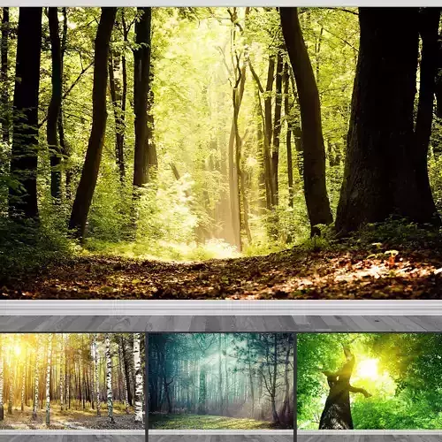 Photo Wallpaper No 2