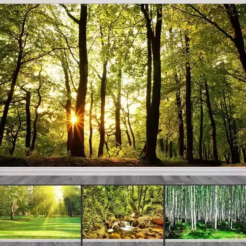 Photo Wallpaper No 4