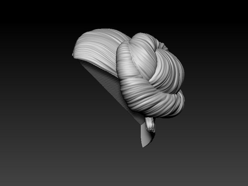 Leia Organa Bust 3D print model_4