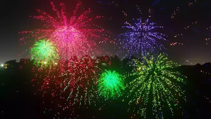 New Year Fireworks animation 3D model