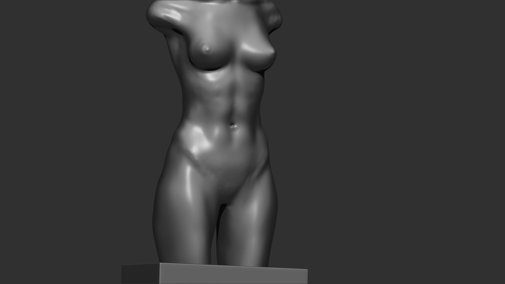 female torso 3d print  3D print model_1