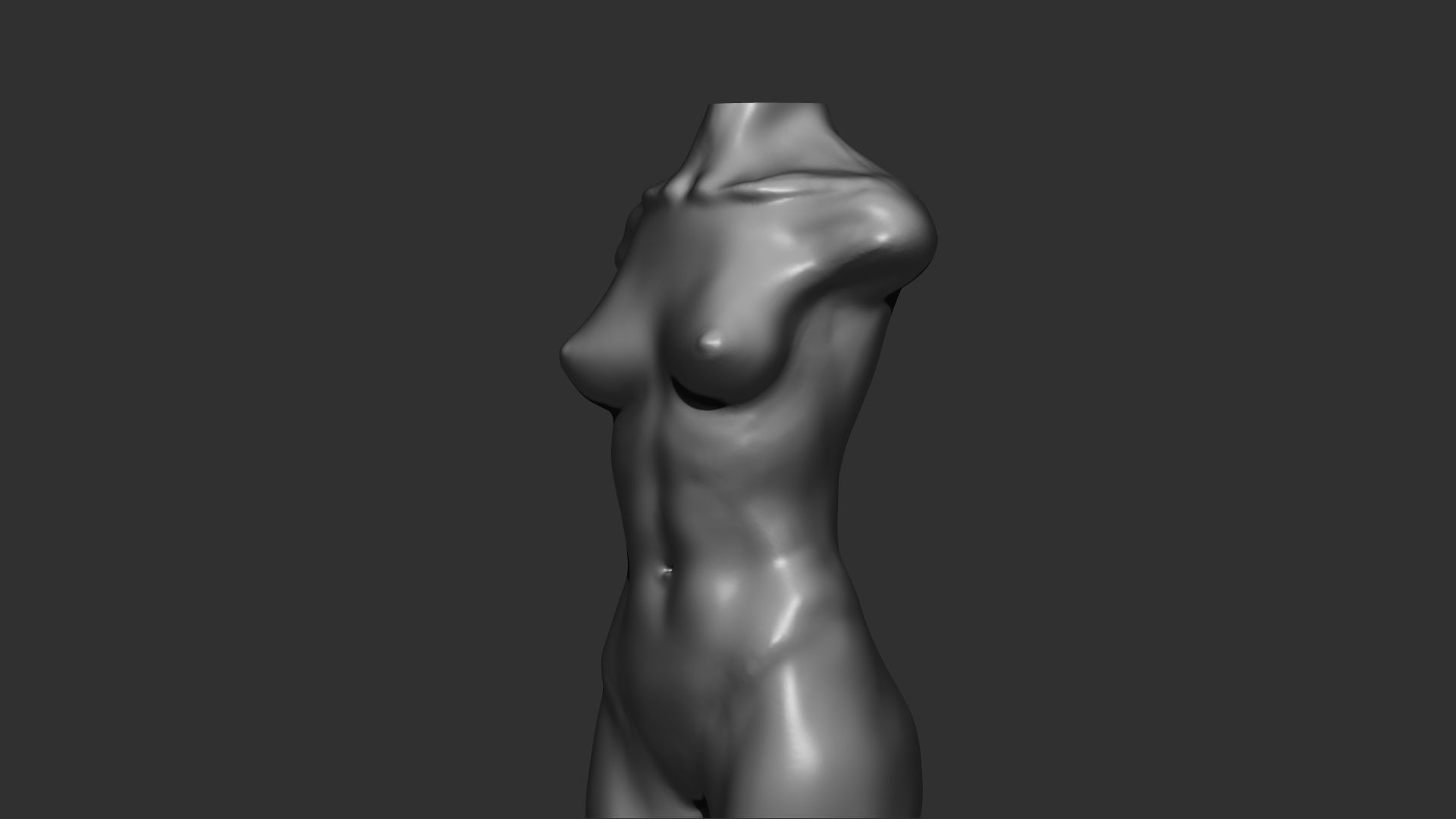 female torso 3d print  3D print model_2