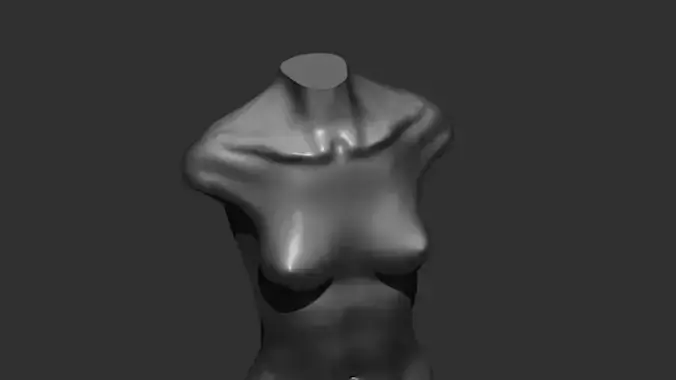 female torso 3d print 