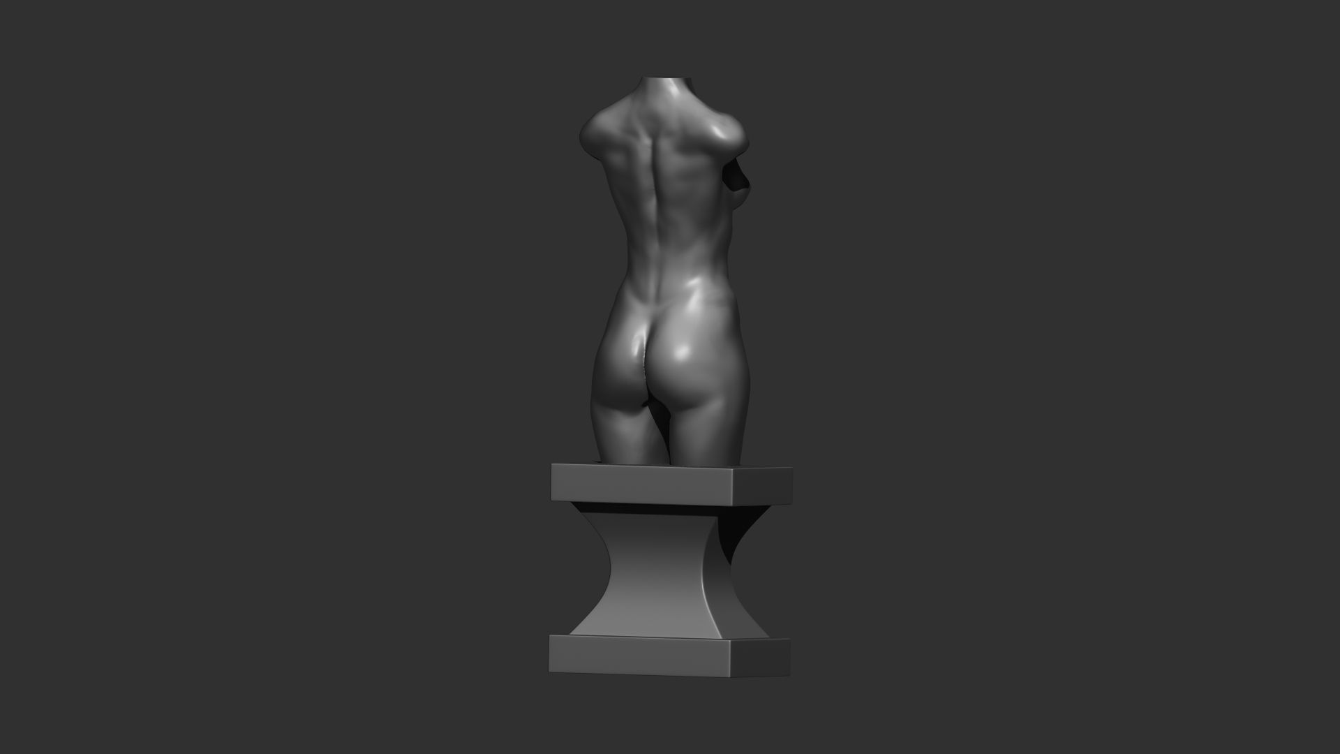 female torso 3d print  3D print model_9